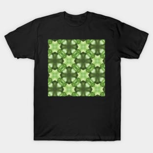 Cactus Flower Aloe Succulent Pattern T-Shirt